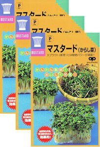 ƒ؉yz XvEg }X^[hi炵؁j 3܃Zbg iX֔zij