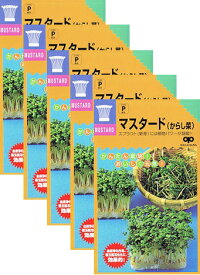 家庭菜園【種】 スプラウト マスタード（からし菜） 5袋セット （郵便配送商品）