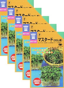 ƒ؉yz XvEg }X^[hi炵؁j 5܃Zbg iX֔zij