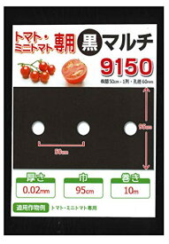 家庭菜園【マルチ】 穴あき黒マルチ9150 トマト・ミニトマト用10m（郵便配送商品）