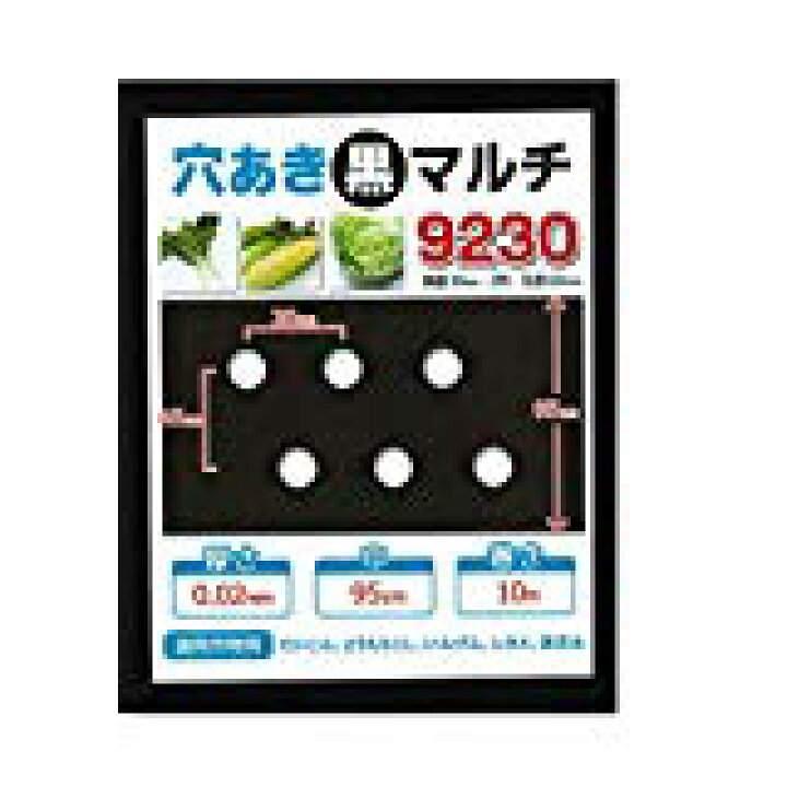 楽天市場】家庭菜園【マルチ】 穴あき黒マルチ9230 大根、とうもろこし 