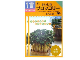 家庭菜園【種】 スプラウト かいわれブロッコリー 30ml 2袋セット （郵便配送商品）