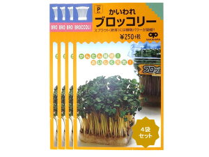 家庭菜園【種】 スプラウト かいわれブロッコリー 4袋セット (郵便配送商品)
