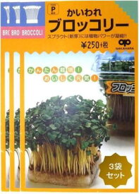 家庭菜園【種】 スプラウト かいわれブロッコリー 3袋セット （郵便配送商品）