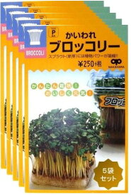 家庭菜園【種】 スプラウト かいわれブロッコリー 30ml 5袋セット （郵便配送商品）