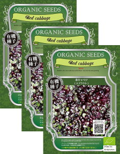 ƒ؉yz I[KjbNXvEg ԃLxci4000`4300j 3܃Zbg iX֔zij