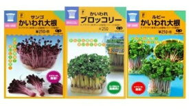 家庭菜園【種】 スプラウトアソート 3袋セット （郵便配送商品）