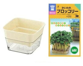 家庭菜園【栽培セット】 初心者向け スプラウトプランター＆ブロッコリースプラウトの種セット （郵便配送商品）
