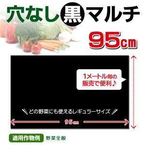 家庭菜園【マルチ】 レギュラー黒マルチ 95cm 穴なし 10m (郵便配送商品)
