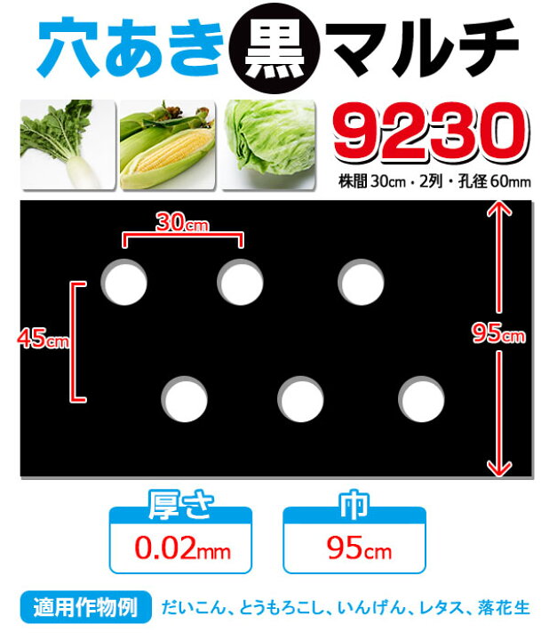 楽天市場】家庭菜園【マルチ】 穴あき黒マルチ9230 大根、とうもろこし 