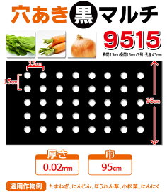 家庭菜園【マルチ】 穴あき黒マルチ9515 にんじん・菜っ葉用 10m（郵便配送商品）
