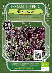 ƒ؉yz I[KjbNXvEg ԃLxc i4000`4300j 1 iX֔zij