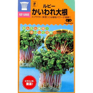 ƒ؉yz XvEg r[卪 1 iX֔zij