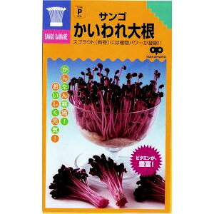 ƒ؉yz XvEg TS卪 1 iX֔zij