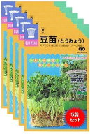 家庭菜園【種】 スプラウト 豆苗（とうみょう） 5袋セット （郵便配送商品）
