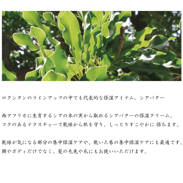 楽天市場 アウトレット品 ロクシタン L Occitane シアバター 10ml 自然由来の植物保湿バーム 肌に 髪に全身使えます 売り切れ御免 Nature Natural