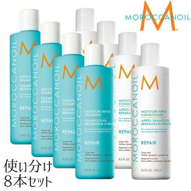 業務用よりお得！贅沢なヘアケアを旅先やプレゼントに モロッカンオイル モイスチャーリペアシャンプー コンディショナー250ml 8本セット ヘアケア トラベル プレゼント 小分け 新生活 祝 入学式 入社式 父の日 母の日