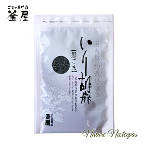 ܂̐X  / _͔|100 Ӗ ܁yY܁z