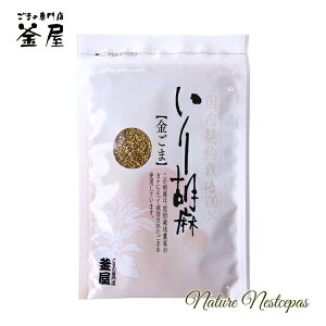 ܂̐X  / _͔|100 Ӗ IׂS3i /  / ܁jyY܁z