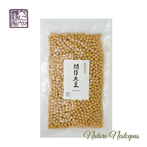 ׂɂⒷJ쏤X / kCY ԍ哤yݗzynz