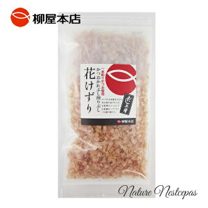 {X / {ނ肩gp H[ ԂԂ Ԃ