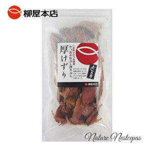 {X / {ނ肩gp H[ ԂԂ 