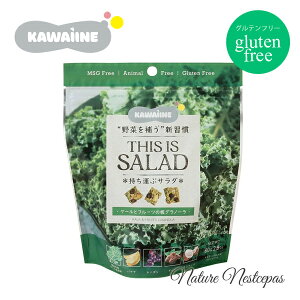 o / KAWAIINE ^ԃT_ THIS IS SALAD ɂ񂶂&P[̔Om[ IׂS3yOet[z