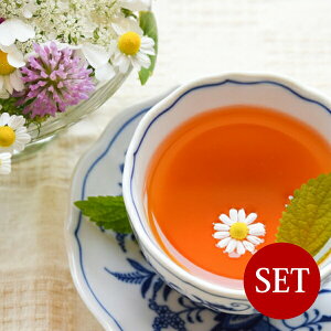 X / t[o[n[ueB[×܂20TBZbg܁y[(lR|X)Ki2Zbg܂/KiO͑Zz