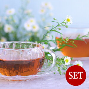 X / gt[o[n[ueB[MIX×܂20TBZbg y[(lR|X)Ki2Zbg܂/KiO͑Zz