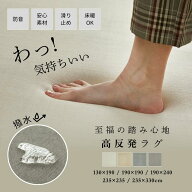 【厚みが選べる】 高反発ラグ ラグ 高反発 極厚 厚手 25mm 50mm カーペット 夏用 滑り止め ラグマット 高…