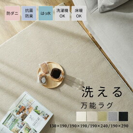 洗える 抗菌 防臭 防ダニ ラグ カーペット オールシーズン 2畳 3畳 カーペット 正方形 防ダニ 抗菌 消臭 パレット2