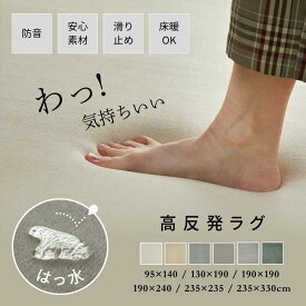【厚みが選べる】 高反発ラグ ラグ 高反発 極厚 厚手 25mm 50mm ラグ 滑り止め ラグマット カーペット2畳 3畳 高反発 はっ水 へたりにくい オールシーズン マット 絨毯 子供部屋 ペット