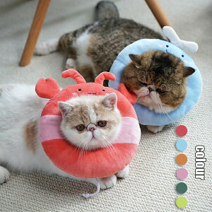 yX[p[SALEz ybg L  GUxXJ[ p̕Ki ̕ی XgXy J[ S M L GUxXJ[Ђ܂ 6colour