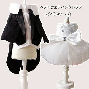  ybgp EFfBOhX ^LV[h ybg̕ tH[}hX [Xs[X L lR  RX`[ L RXvߑ ʐ^ Be ϐgybgpi  j