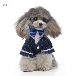 yX[p[SALEz hbOEFA ^LV[h ybg XgCv LpiS-XLTCYj^ ^ tH[} VY ʐ^ Be  j LOp[eB[ 