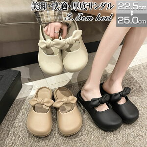 T{T_ fB[X K[fV[Y T_ fB[X Xb| T{ Xbp x_   K[fjO y h EVA  ؂ ₷  ԕ 