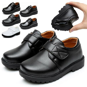 tH[}V[Y vC JWA j̎q C WjA tH[} jqC [t@[ Xb| CPt Iׂ _炩 ʋC ~ ʊw f o Xe[W   Z