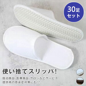 ĝăXbp   30 zCg uE F AjeB XG[hn 2color  y[p[Xbp zeXbp  Xbp ze s Xbp gx qX