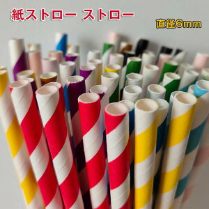  ی ĝ Cxg ĝăXg[ a  Xg[ Xg[ AEghA Jt qI a6mm p[eB[ F Ɩp 1000{ y[p[Xg[