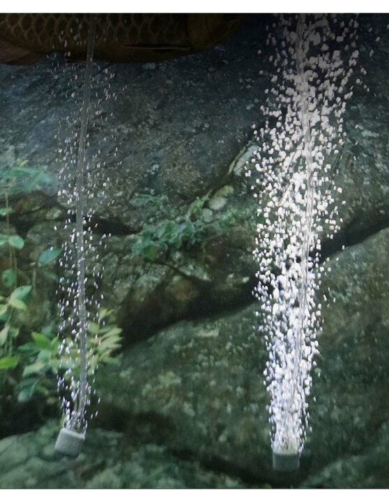 楽天市場 エアレーション 水槽用 セット エアストーン 電動 空気 稚魚 酸素 アクアリウム 隔離 メダカ 安心 安全 飼育 保護 可愛い ペット ブクブク 曝気 淡水 観察 繁殖 養殖 Usb搭載 ケージ 水草 プレゼント Natureandtree楽天市場店