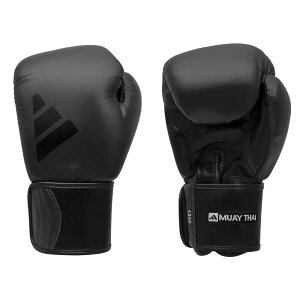 adidas ティルト (TILT) 350 NEW ムエタイグローブ