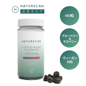 【7日間限定777円OFFクーポン】きのこグミ 60粒 ヤマブシタケ グミ ブルーベリー&ラズベリー味 Naturecan ネイチャーカン 健康 健康食品 サプリ Lion's mane gummies 集中 フォーカス 物忘れ