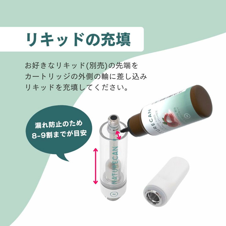 楽天市場】Naturecan 公式 べイプペンキット ケース付き 充電型 USBC 