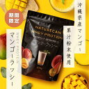 Naturecan 公式 ホエイプロテイン（WPC）沖縄 マンゴーラッシー味 620g 20食分 タンパク質21g コンセントレート 筋トレ 美味しい 期間限定 置き換え ダイエット 女性 男性 国産