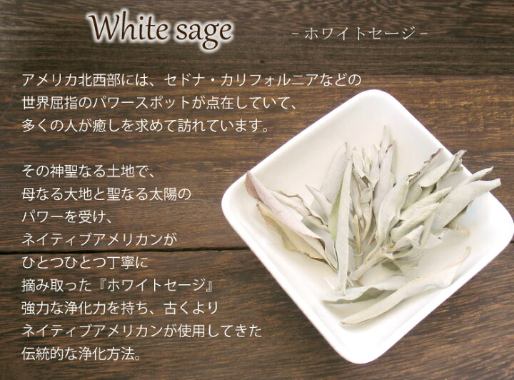 楽天市場 パワーストーン 浄化セット 浄化用 浄化皿 パールシェル イケチョウ貝 ホワイトセージ セージ香皿 皿 器 浄化用 浄化品 浄化グッズ パワーストーンブレスレット ピアス ネックレス の浄化用 浄化 厄年 玄関用 部屋用 厄払い Naturegems