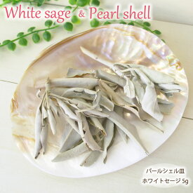 【再入荷】パワーストーン 浄化セット 浄化用 入れ 置き皿 浄化皿 パールシェル イケチョウ貝 ホワイトセージ セージ香皿 皿 器 グッズ ブレスレット ピアス ネックレス の浄化用 厄年 玄関用 部屋用 厄払い プレゼント