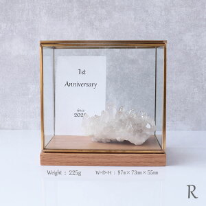 y1P10{zyc2_zNX^[ g}XSTKY NX^[ RNVP[X  2_Zbg VR p[Xg[ CeA  VR z  ֗p  u 