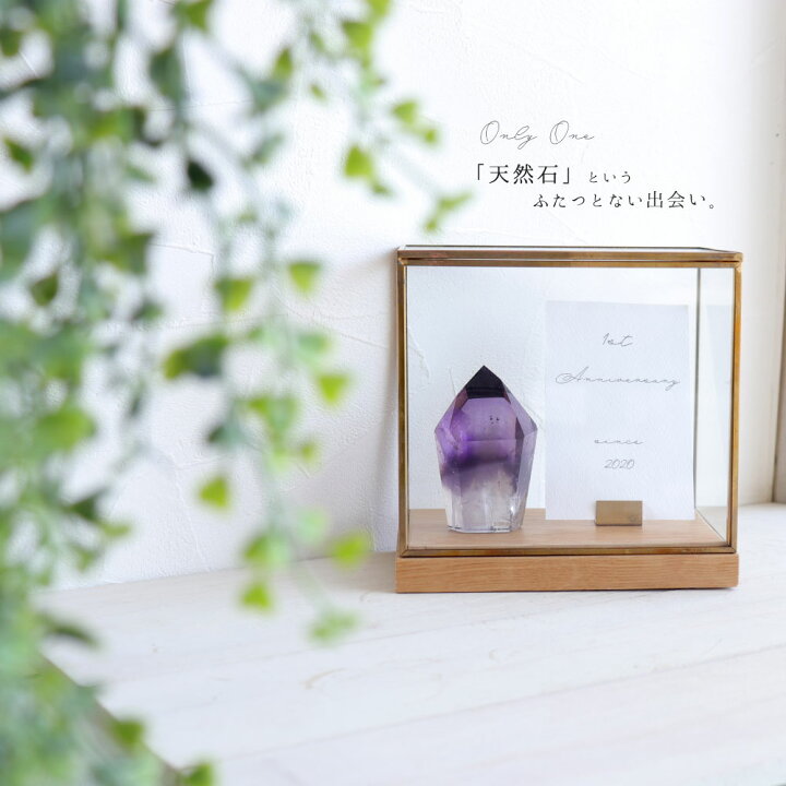 楽天市場】【現品販売】ファントム入り ブラジル バイーア産 