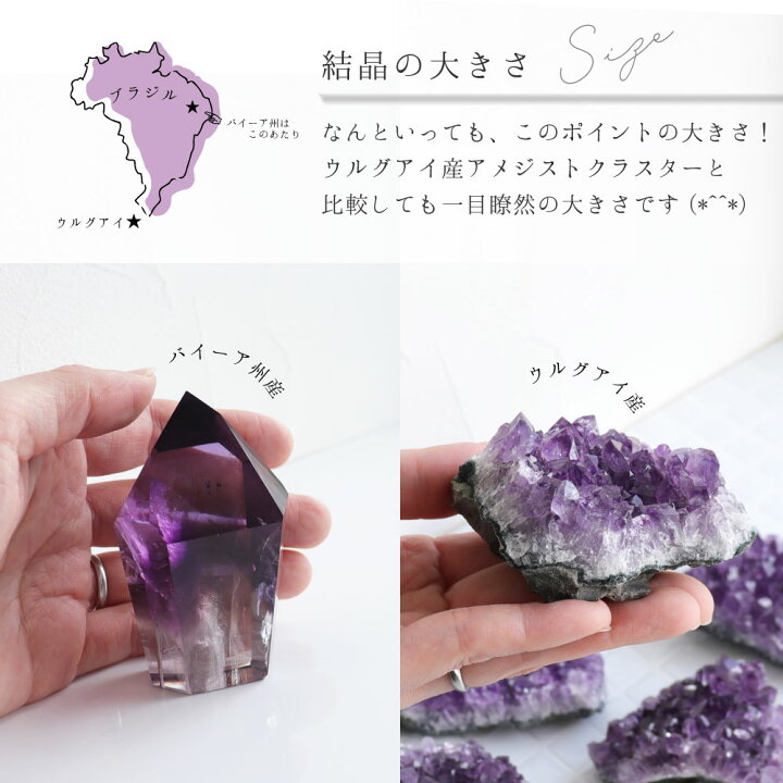 楽天市場】【現品販売】ファントム入り ブラジル バイーア産 