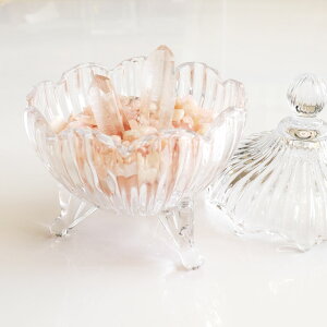 yI|Cg2{ tz Iׂ16 VR p[Xg[ 򉻃Zbg KXLjX^[ P[X   I150g`200g i uWY   uM 򉻎M 